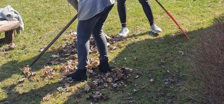 „Wiosenne porządki”