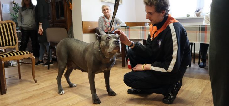 Światowy Dzień Zwierząt