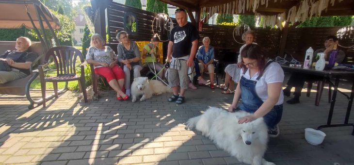 Międzynarodowy Dzień Psa i Międzynarodowy Dzień Zwierząt