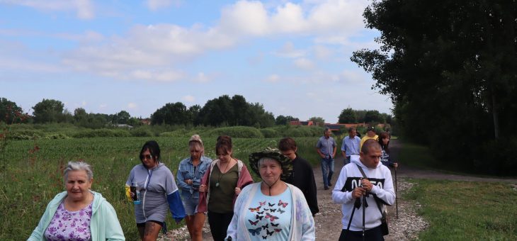 Dzień leniwych spacerów