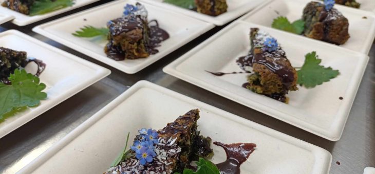 Kreatywny dzień- pokrzywa